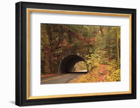USA, Tennesse. Tunnel along the road to Cades Cove in the fall.-Joanne Wells-Framed Photographic Print