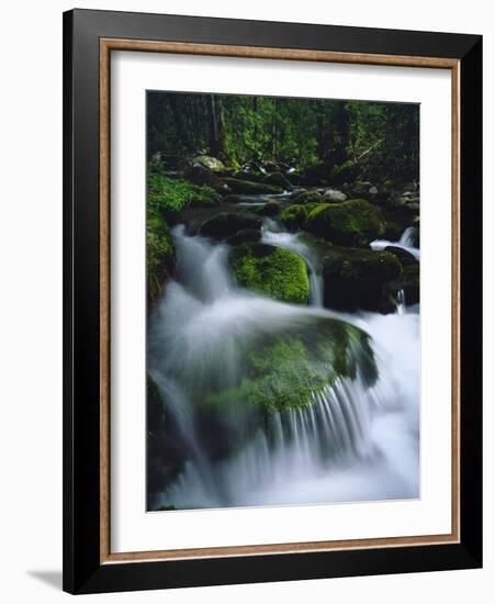 USA, Tennessee, a Moss Covered Stream in the Great Smoky Mountains-Jaynes Gallery-Framed Photographic Print
