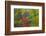 USA, Tennessee. Autumn Foliage in Cherokee National Forest-Don Paulson-Framed Photographic Print
