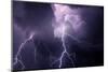 USA, Tennessee. Composite of Cloud-To-Cloud Lightning Bolts-Jaynes Gallery-Mounted Photographic Print