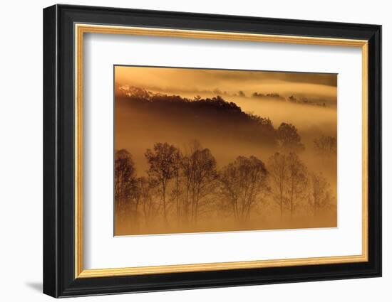USA, Tennessee. Early morning fog in the Smoky Mountains.-Joanne Wells-Framed Photographic Print