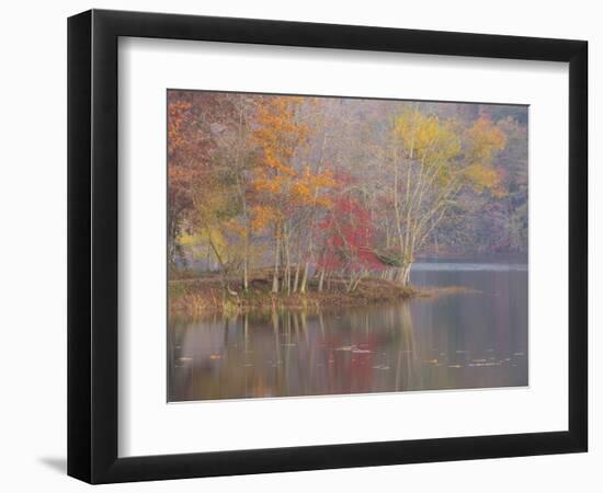 USA, Tennessee, Falls Creek Falls State Park. Autumn forest reflects in lake.-Jaynes Gallery-Framed Photographic Print