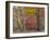 USA, Tennessee, Falls Creek Falls State Park. Picnic Table in Park-Don Paulson-Framed Photographic Print