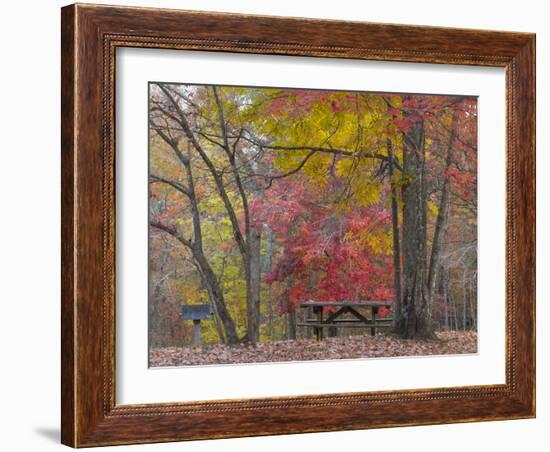 USA, Tennessee, Falls Creek Falls State Park. Picnic Table in Park-Don Paulson-Framed Photographic Print