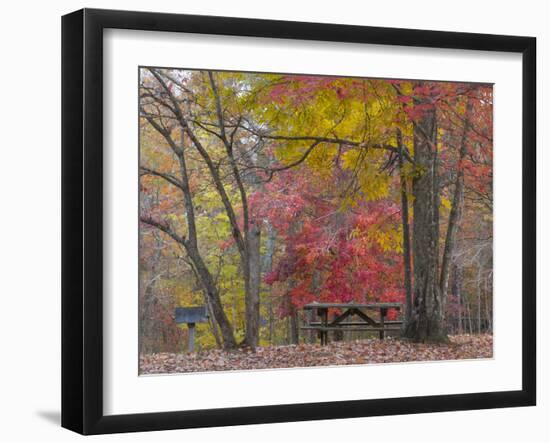 USA, Tennessee, Falls Creek Falls State Park. Picnic Table in Park-Don Paulson-Framed Photographic Print