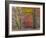 USA, Tennessee, Falls Creek Falls State Park. Picnic Table in Park-Don Paulson-Framed Photographic Print