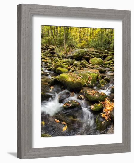 USA, Tennessee. Gatlinburg. Great Smoky Mountains National Park, Flowing creek along the Roaring Fo-Ann Collins-Framed Photographic Print