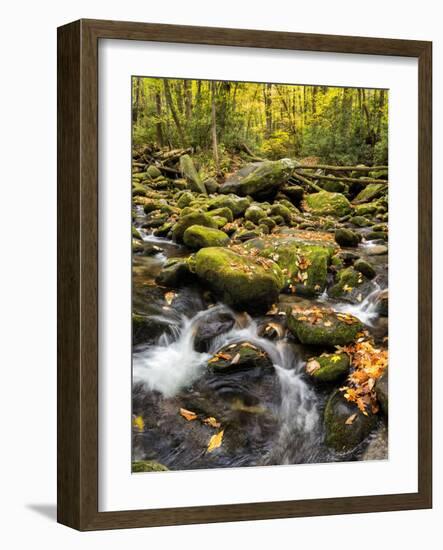 USA, Tennessee. Gatlinburg. Great Smoky Mountains National Park, Flowing creek along the Roaring Fo-Ann Collins-Framed Photographic Print