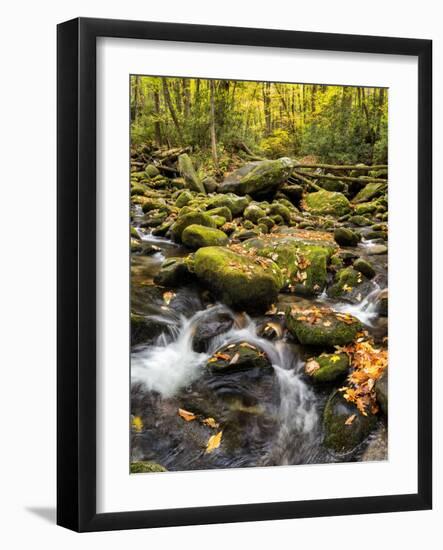 USA, Tennessee. Gatlinburg. Great Smoky Mountains National Park, Flowing creek along the Roaring Fo-Ann Collins-Framed Photographic Print