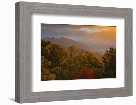 USA, Tennessee. Great Smoky Mountain National Park, trees and fog at sunrise.-Joanne Wells-Framed Photographic Print