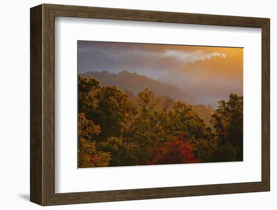 USA, Tennessee. Great Smoky Mountain National Park, trees and fog at sunrise.-Joanne Wells-Framed Photographic Print