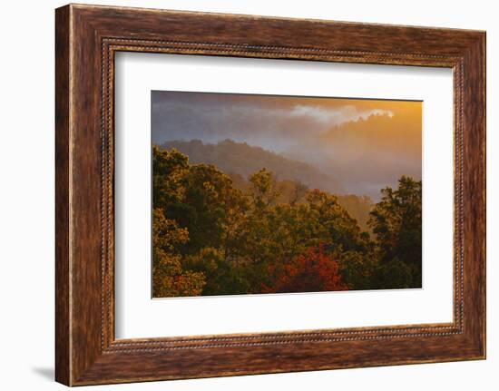 USA, Tennessee. Great Smoky Mountain National Park, trees and fog at sunrise.-Joanne Wells-Framed Photographic Print