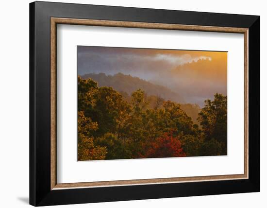 USA, Tennessee. Great Smoky Mountain National Park, trees and fog at sunrise.-Joanne Wells-Framed Photographic Print