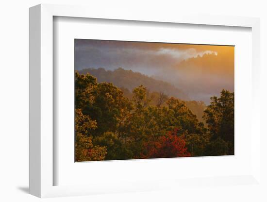 USA, Tennessee. Great Smoky Mountain National Park, trees and fog at sunrise.-Joanne Wells-Framed Photographic Print