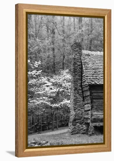 USA, Tennessee, Great Smoky Mountains National Park. Abandoned Cabin-Dennis Flaherty-Framed Premier Image Canvas