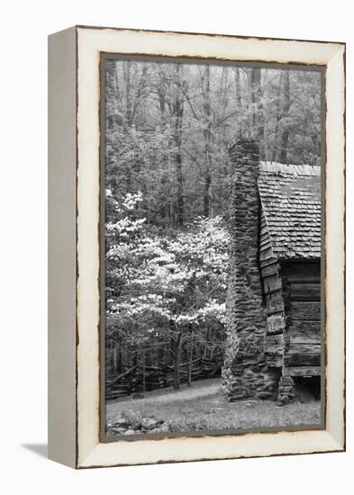 USA, Tennessee, Great Smoky Mountains National Park. Abandoned Cabin-Dennis Flaherty-Framed Premier Image Canvas