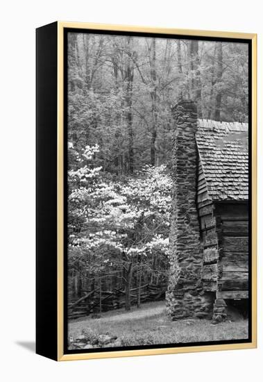 USA, Tennessee, Great Smoky Mountains National Park. Abandoned Cabin-Dennis Flaherty-Framed Premier Image Canvas