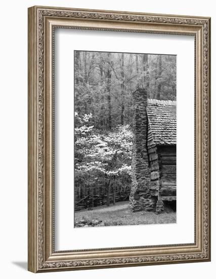 USA, Tennessee, Great Smoky Mountains National Park. Abandoned Cabin-Dennis Flaherty-Framed Photographic Print