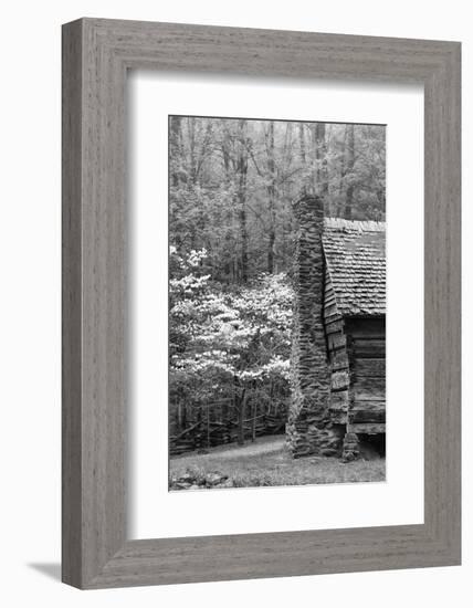 USA, Tennessee, Great Smoky Mountains National Park. Abandoned Cabin-Dennis Flaherty-Framed Photographic Print