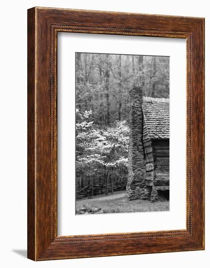 USA, Tennessee, Great Smoky Mountains National Park. Abandoned Cabin-Dennis Flaherty-Framed Photographic Print