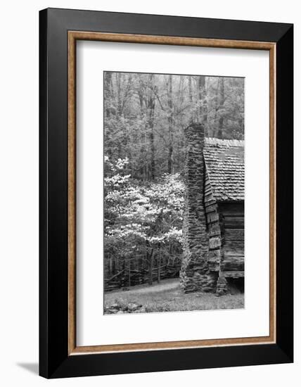 USA, Tennessee, Great Smoky Mountains National Park. Abandoned Cabin-Dennis Flaherty-Framed Photographic Print