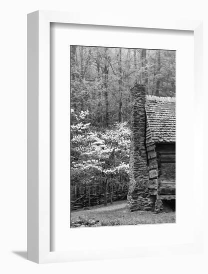 USA, Tennessee, Great Smoky Mountains National Park. Abandoned Cabin-Dennis Flaherty-Framed Photographic Print