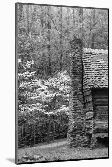 USA, Tennessee, Great Smoky Mountains National Park. Abandoned Cabin-Dennis Flaherty-Mounted Photographic Print