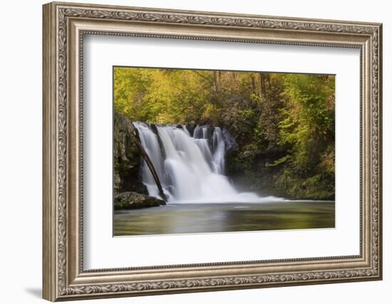 USA, Tennessee, Great Smoky Mountains National Park. Abrams Falls Landscape-Jaynes Gallery-Framed Photographic Print