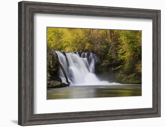 USA, Tennessee, Great Smoky Mountains National Park. Abrams Falls Landscape-Jaynes Gallery-Framed Photographic Print