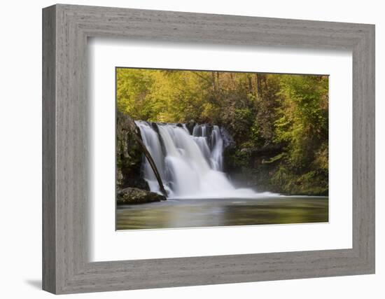 USA, Tennessee, Great Smoky Mountains National Park. Abrams Falls Landscape-Jaynes Gallery-Framed Photographic Print