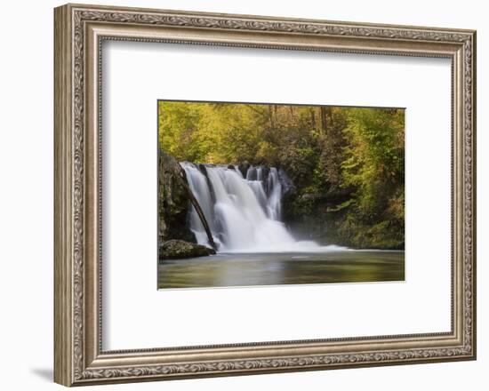 USA, Tennessee, Great Smoky Mountains National Park. Abrams Falls Landscape-Jaynes Gallery-Framed Photographic Print