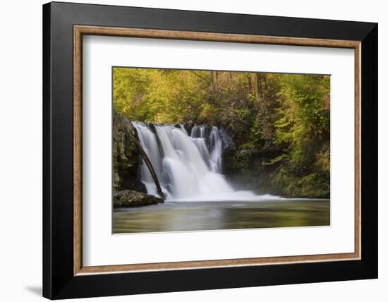 USA, Tennessee, Great Smoky Mountains National Park. Abrams Falls Landscape-Jaynes Gallery-Framed Photographic Print