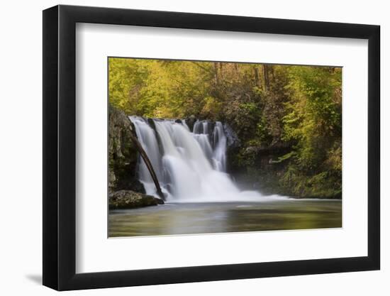 USA, Tennessee, Great Smoky Mountains National Park. Abrams Falls Landscape-Jaynes Gallery-Framed Photographic Print