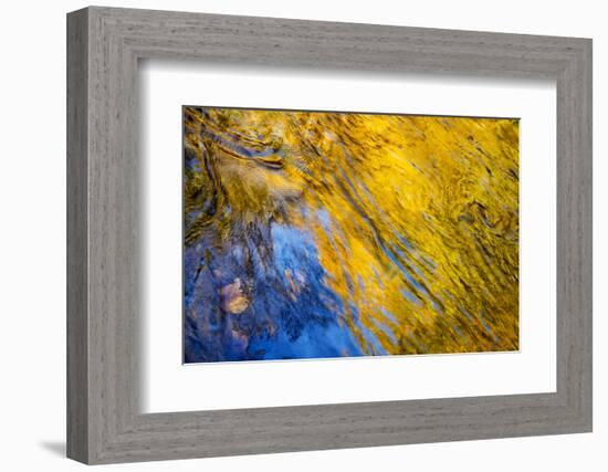 USA, Tennessee, Great Smoky Mountains National Park. Autumn reflections abstract-Ann Collins-Framed Photographic Print