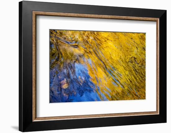 USA, Tennessee, Great Smoky Mountains National Park. Autumn reflections abstract-Ann Collins-Framed Photographic Print