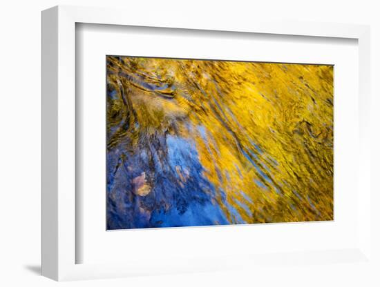 USA, Tennessee, Great Smoky Mountains National Park. Autumn reflections abstract-Ann Collins-Framed Photographic Print