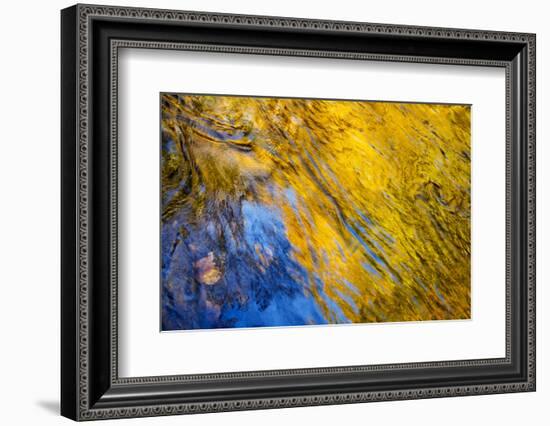 USA, Tennessee, Great Smoky Mountains National Park. Autumn reflections abstract-Ann Collins-Framed Photographic Print