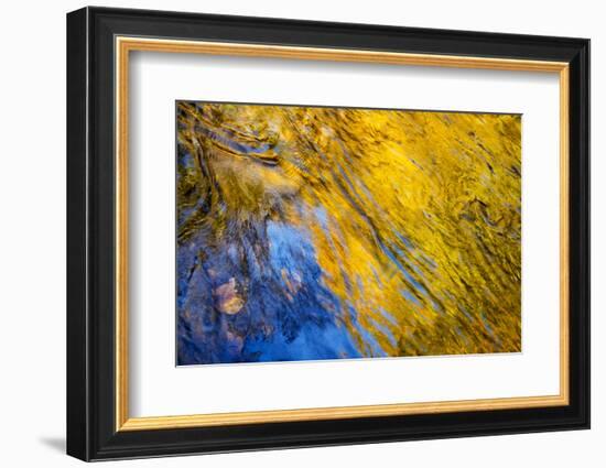 USA, Tennessee, Great Smoky Mountains National Park. Autumn reflections abstract-Ann Collins-Framed Photographic Print