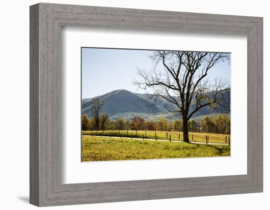 USA, Tennessee. Great Smoky Mountains National Park, Cades Cove Loop Road-Ann Collins-Framed Photographic Print