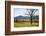 USA, Tennessee. Great Smoky Mountains National Park, Cades Cove Loop Road-Ann Collins-Framed Photographic Print