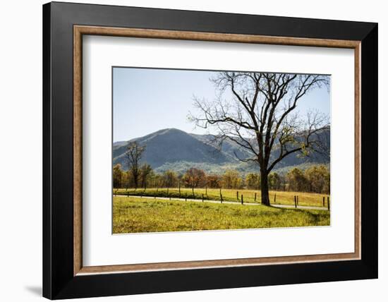 USA, Tennessee. Great Smoky Mountains National Park, Cades Cove Loop Road-Ann Collins-Framed Photographic Print