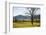 USA, Tennessee. Great Smoky Mountains National Park, Cades Cove Loop Road-Ann Collins-Framed Photographic Print