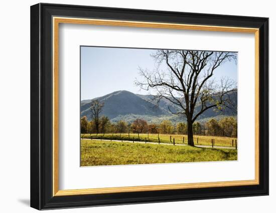 USA, Tennessee. Great Smoky Mountains National Park, Cades Cove Loop Road-Ann Collins-Framed Photographic Print