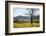 USA, Tennessee. Great Smoky Mountains National Park, Cades Cove Loop Road-Ann Collins-Framed Photographic Print