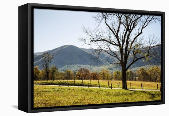 USA, Tennessee. Great Smoky Mountains National Park, Cades Cove Loop Road-Ann Collins-Framed Premier Image Canvas