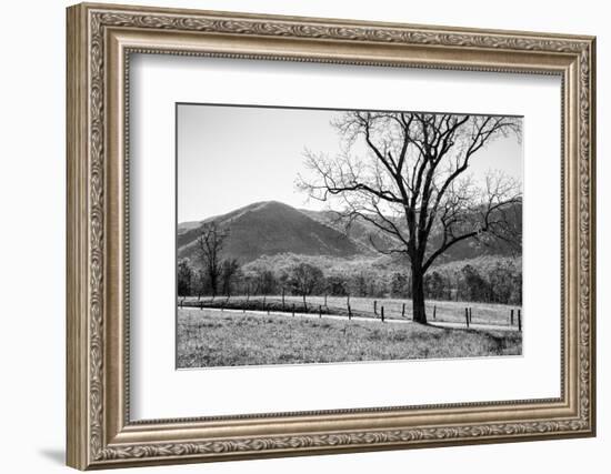 USA, Tennessee. Great Smoky Mountains National Park, Cades Cove Loop Road-Ann Collins-Framed Photographic Print