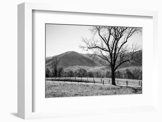 USA, Tennessee. Great Smoky Mountains National Park, Cades Cove Loop Road-Ann Collins-Framed Photographic Print