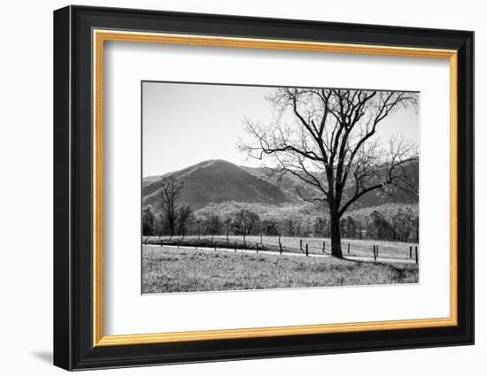 USA, Tennessee. Great Smoky Mountains National Park, Cades Cove Loop Road-Ann Collins-Framed Photographic Print