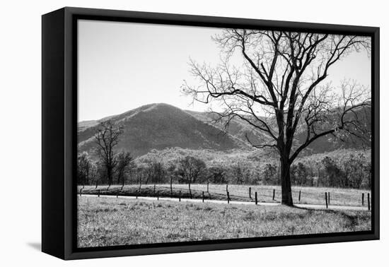 USA, Tennessee. Great Smoky Mountains National Park, Cades Cove Loop Road-Ann Collins-Framed Premier Image Canvas