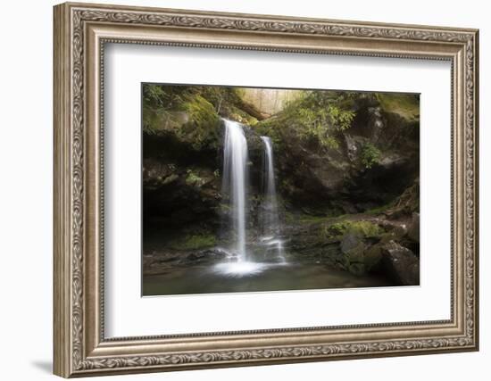 USA, Tennessee, Great Smoky Mountains National Park. Grotto Falls Scenic-Jaynes Gallery-Framed Photographic Print